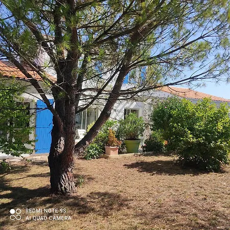 住宿加早餐酒店 Serinity 3*